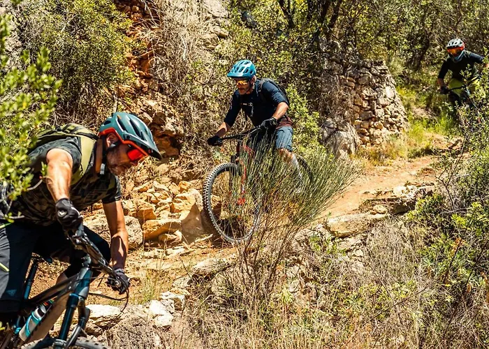 Aparthotel Holidays Pietra Ligure