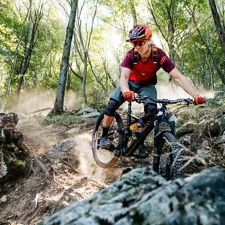 Apartahotel Holidays 3*