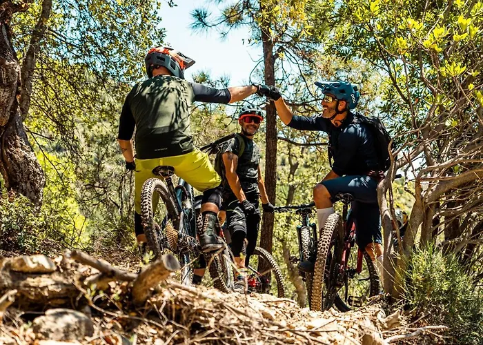 Holidays 3* 피에트라리구레