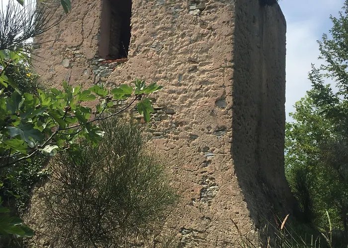 Holidays 피에트라리구레