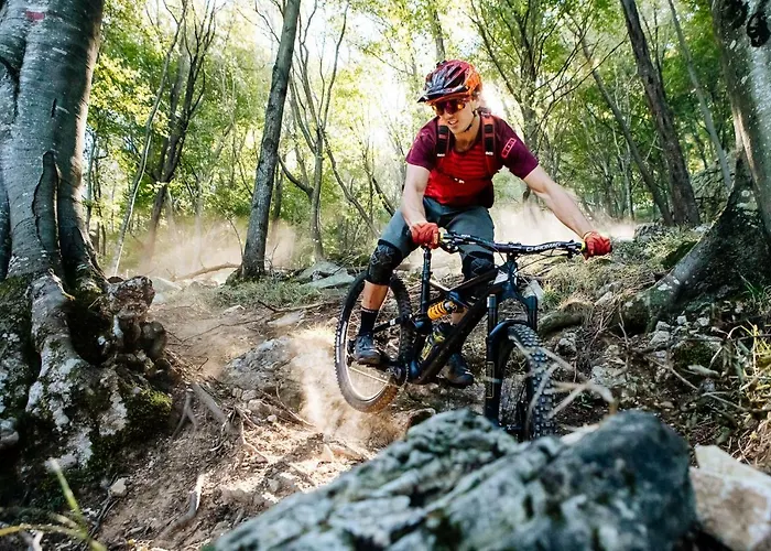 아파트호텔 Holidays 3*